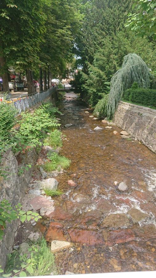 Apartment Ruhezeit - Inclusive Pool & Sauna Bad Harzburg